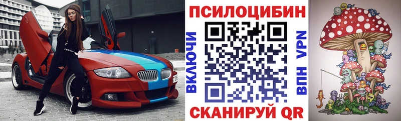 мега как зайти Кологрив Галлюциногенные грибы Cubensis